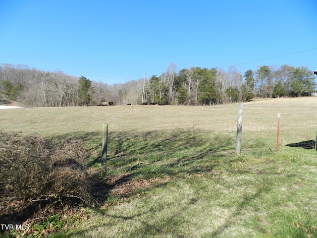 420 Watterson Gap Rd, Surgoinsville, TN 37873 - photo 23