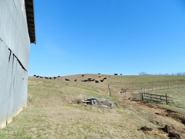 view of yard with a rural view