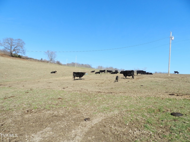 view of yard featuring a rural view