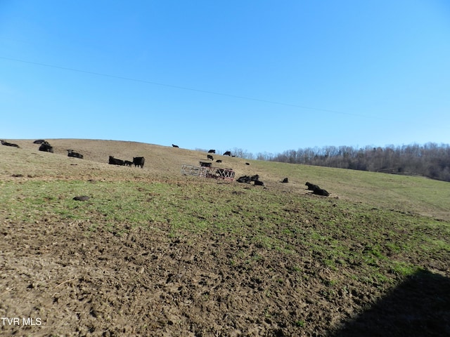 view of yard with a rural view