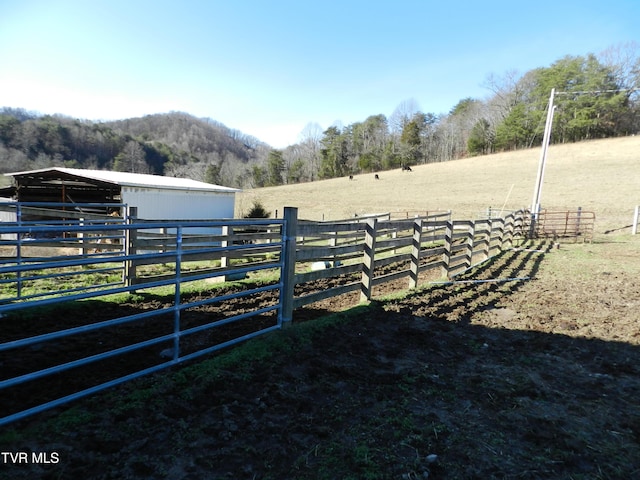 420 Watterson Gap Rd, Surgoinsville, TN 37873 - photo 42