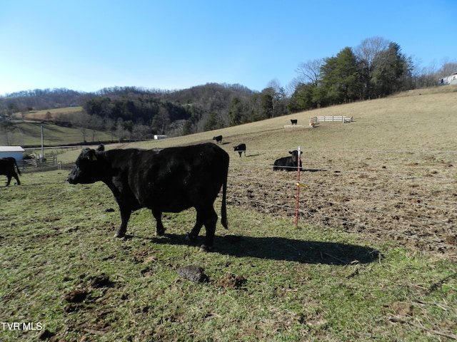 420 Watterson Gap Rd, Surgoinsville, TN 37873 - photo 43