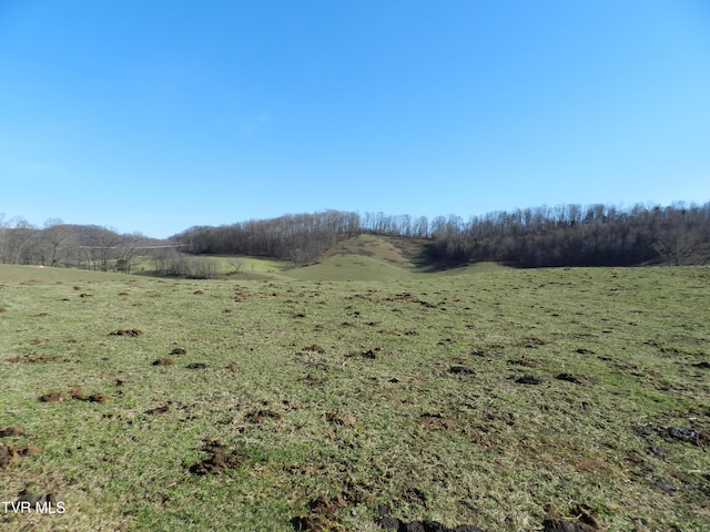 view of landscape with a rural view