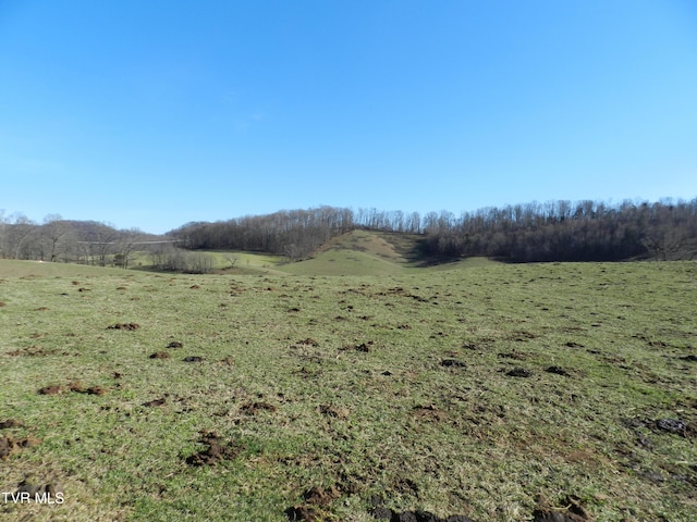 420 Watterson Gap Rd, Surgoinsville, TN 37873 - photo 44