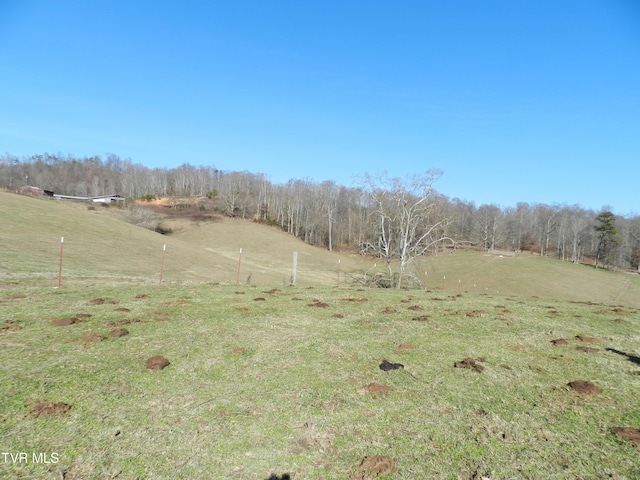 view of landscape featuring a rural view