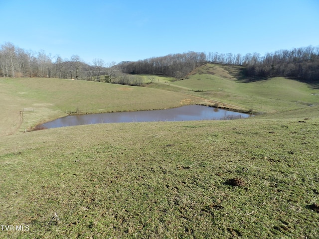 420 Watterson Gap Rd, Surgoinsville, TN 37873 - photo 47