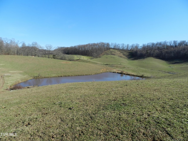 420 Watterson Gap Rd, Surgoinsville, TN 37873 - photo 48