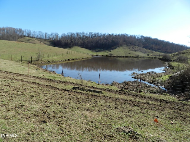 420 Watterson Gap Rd, Surgoinsville, TN 37873 - photo 49