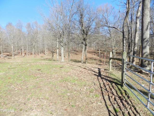 420 Watterson Gap Rd, Surgoinsville, TN 37873 - photo 52