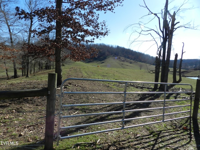 view of yard with a rural view