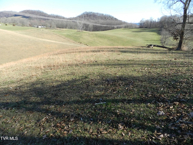 420 Watterson Gap Rd, Surgoinsville, TN 37873 - photo 59