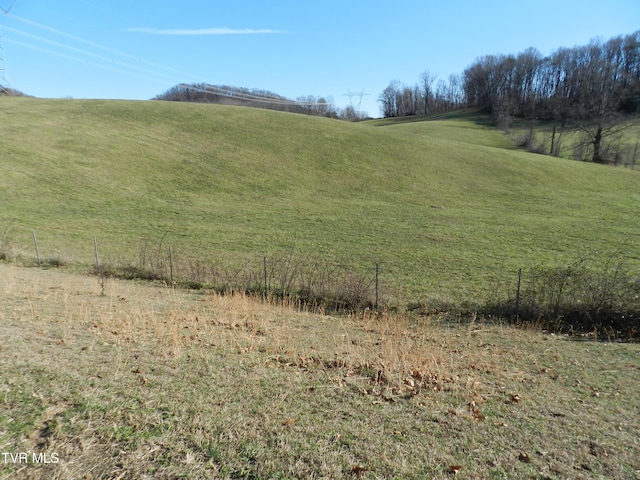 420 Watterson Gap Rd, Surgoinsville, TN 37873 - photo 62