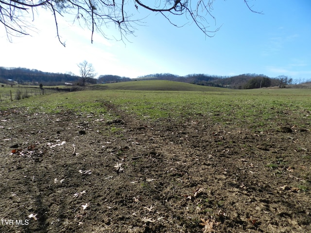 view of yard with a rural view