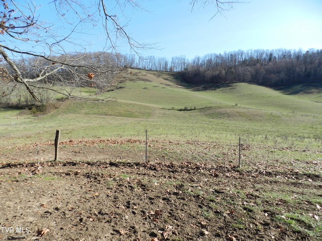 view of yard featuring a rural view