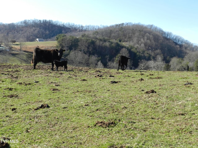 mountain view with a rural view