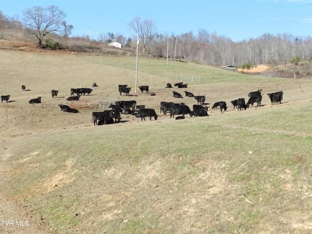 420 Watterson Gap Rd, Surgoinsville, TN 37873 - photo 70