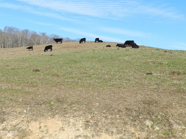 view of yard with a rural view