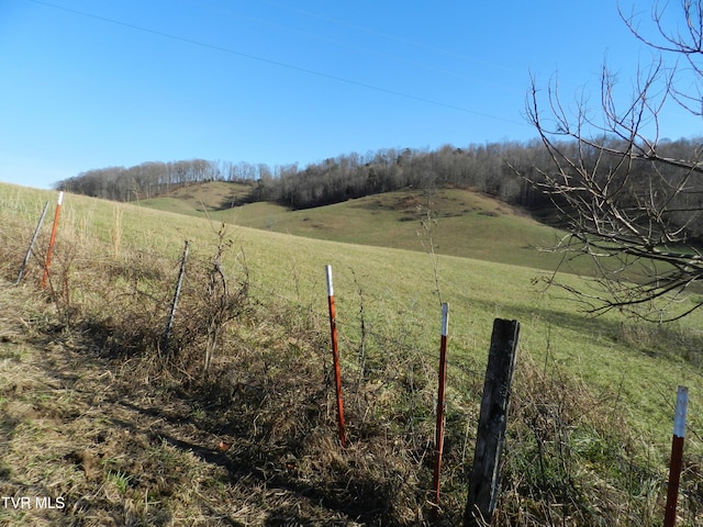 view of yard featuring a rural view