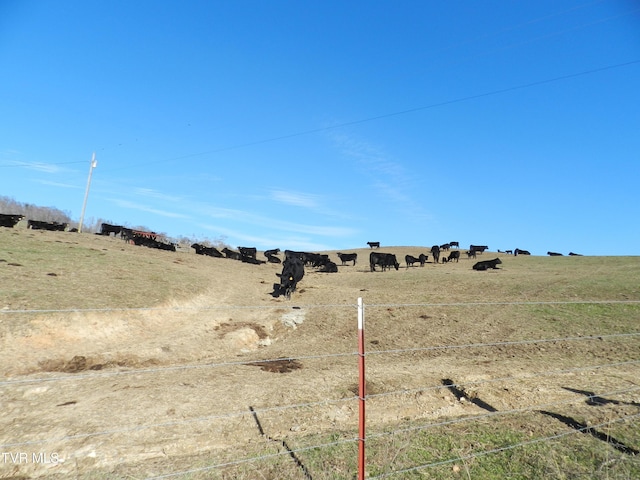 view of yard with a rural view