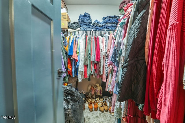 walk in closet with carpet