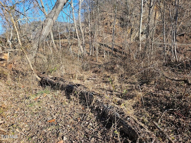 TBD S Hamblen St, Big Stone Gap, VA 24219