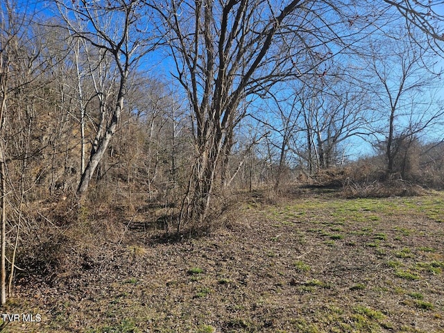 TBD S Hamblen St, Big Stone Gap, VA 24219