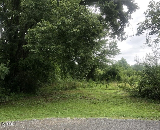 TBD S Hamblen St, Big Stone Gap, VA 24219