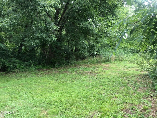 TBD S Hamblen St, Big Stone Gap VA, 24219 land for sale