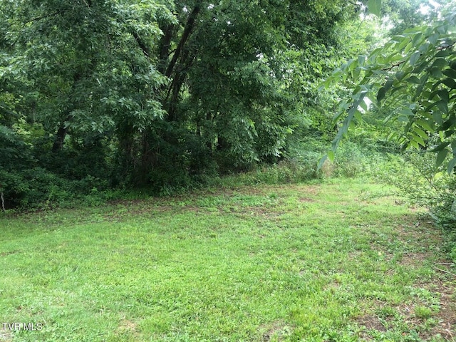 TBD S Hamblen St, Big Stone Gap, VA 24219