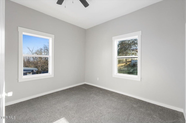 unfurnished room featuring ceiling fan and carpet floors