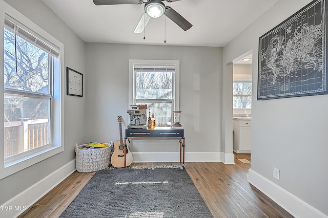 interior space featuring hardwood / wood-style floors, ceiling fan, and a healthy amount of sunlight