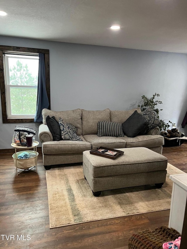 living room featuring dark hardwood / wood-style flooring