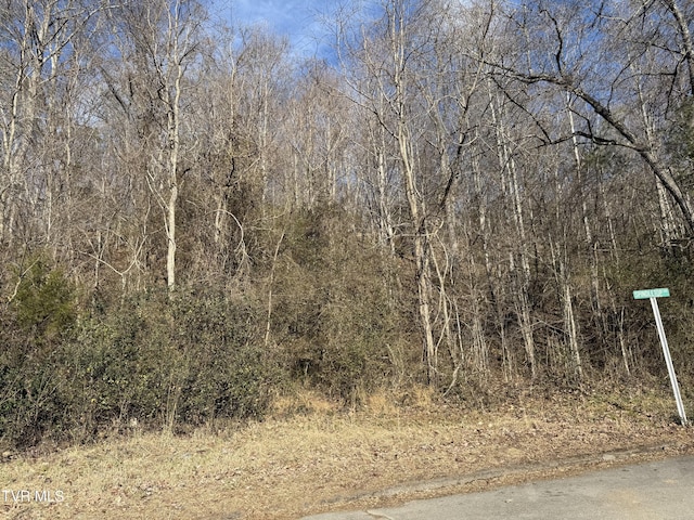 TBD Spindletop Dr, Rogersville TN, 37857 land for sale