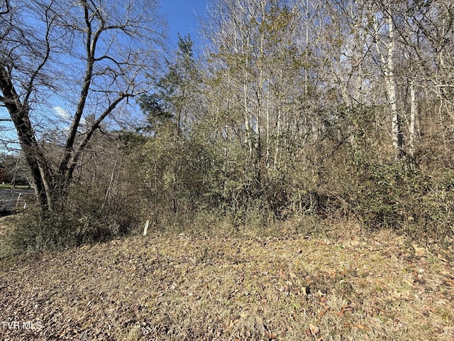 Listing photo 2 for TBD Spindletop Dr, Rogersville TN 37857