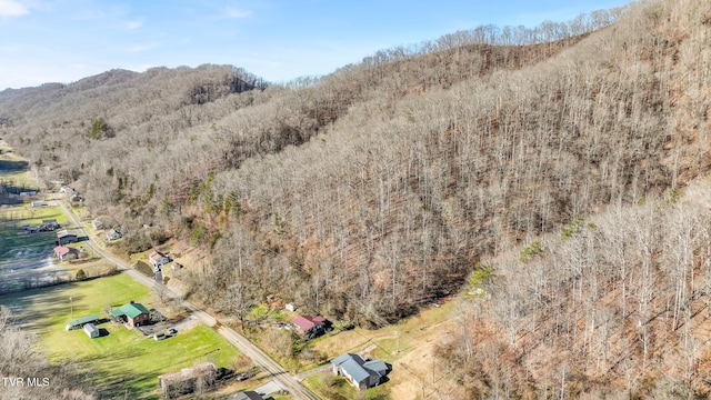 bird's eye view with a mountain view