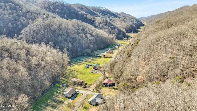 bird's eye view featuring a mountain view