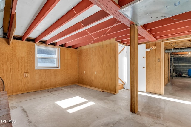 basement featuring wooden walls