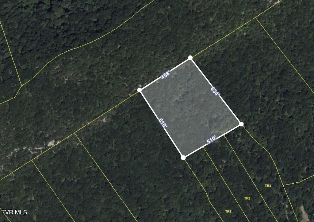TBD Cave Springs Rd, Rogersville, TN 37857 - photo 2