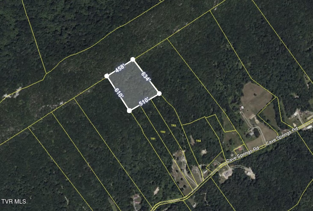 TBD Cave Springs Rd, Rogersville, TN 37857 - photo 3