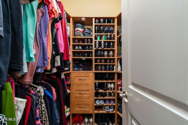 view of walk in closet