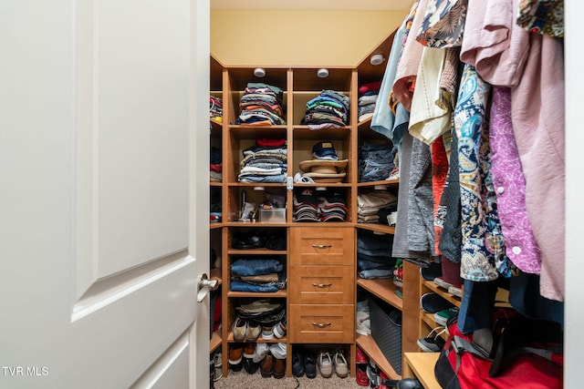 spacious closet with carpet