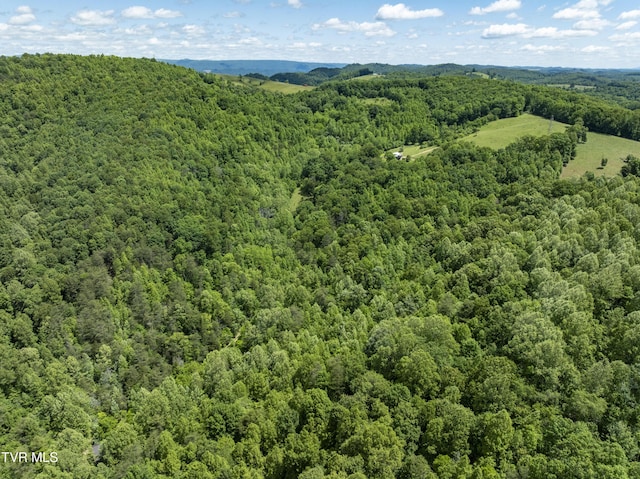 TBD Manville Rd, Gate City, VA 24251 - photo 5