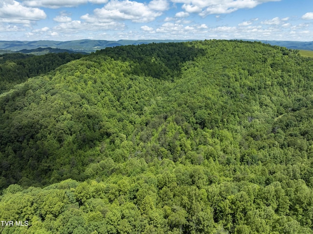 TBD Manville Rd, Gate City, VA 24251 - photo 4