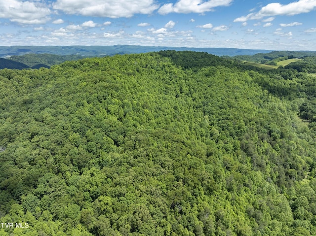 TBD Manville Rd, Gate City, VA 24251 - photo 2