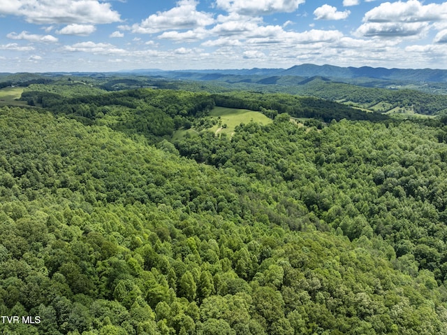 TBD Manville Rd, Gate City, VA 24251 - photo 3