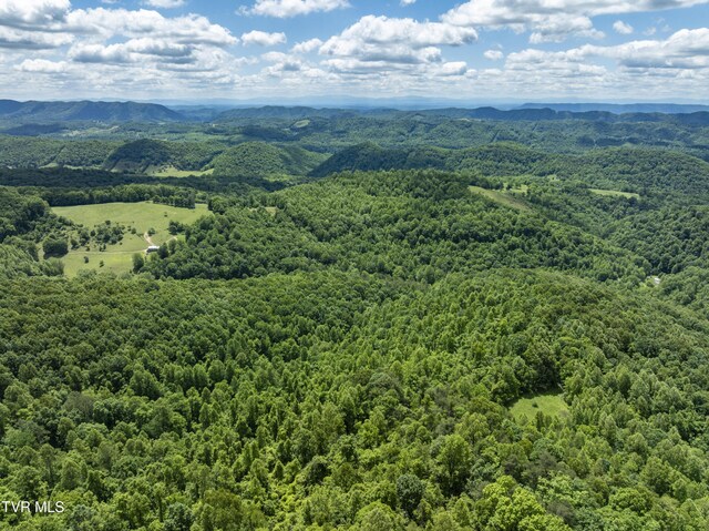 TBD Manville Rd, Gate City, VA 24251 - photo 1