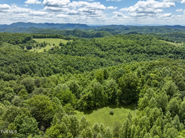 TBD Manville Rd, Gate City, VA 24251 - photo 7