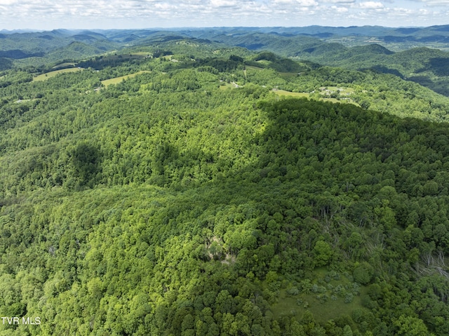TBD Manville Rd, Gate City, VA 24251 - photo 25