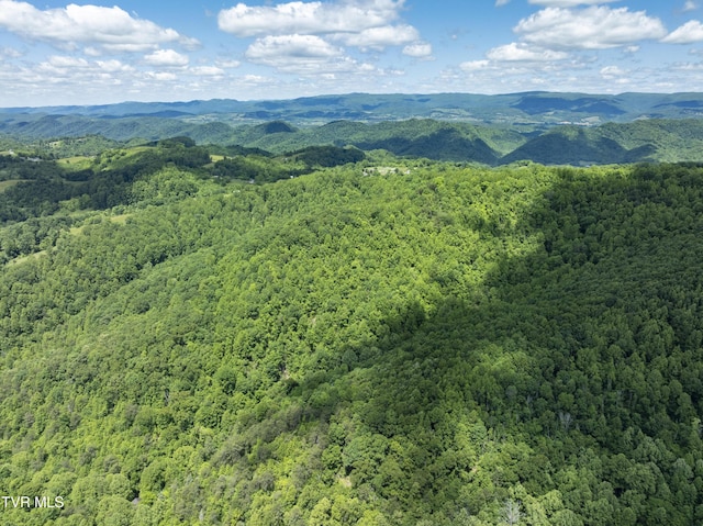 TBD Manville Rd, Gate City, VA 24251 - photo 26