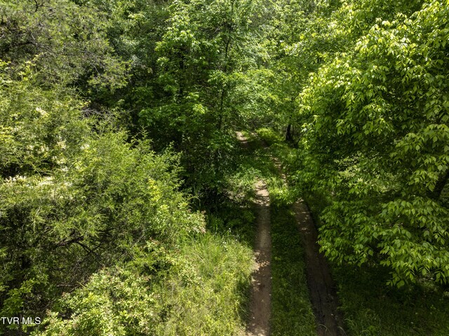 TBD Manville Rd, Gate City, VA 24251 - photo 12